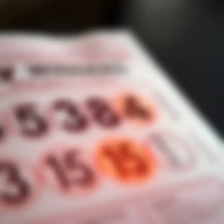 A close-up of a lottery ticket with winning numbers highlighted